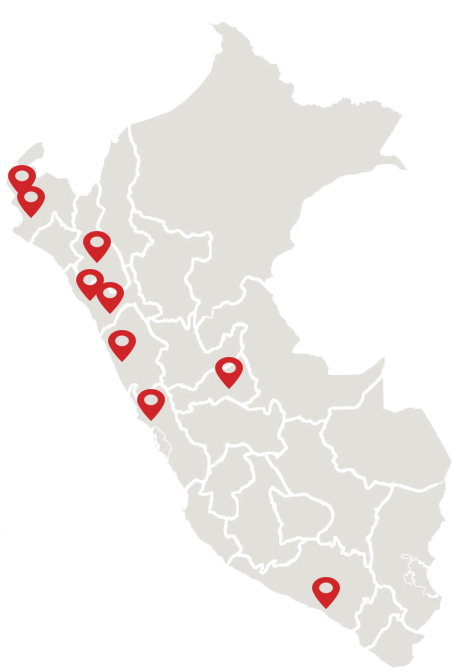 	                        Disponemos de 505 modernas unidades REMOLCADORAS, en las marcas Freghtliner, Mack, International, Volvo, Kenworth y Foton.	                    
